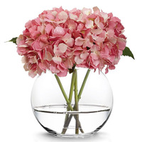 Vase en verre transparent en forme de boule au design classique stocké en gros pour table de mariage hydroponique