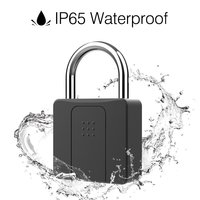 Cadenas intelligent biométrique à empreinte digitale en aluminium pour bagages et casiers, étanche IP66, en promotion