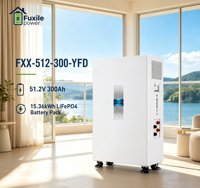 Batterie de stockage d'énergie solaire LiFePO4 sur pied 51,2V 300Ah 15,36kWh, pack d'alimentation au lithium avec BMS 200A intégré