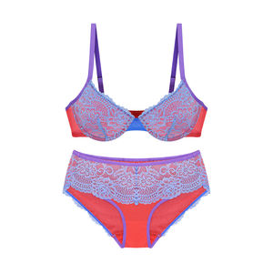 Üretici Toptan Seksi Dantel İç Giyim Dantel Sütyen Külot Özelleştirilmiş 32'den 38'e B Cup Büyük Beden Sütyen Takımı - Product Image 6