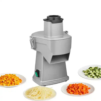 Kleine huishoudelijke multifunctionele groente- en fruitsnijder, -schaaf en -slicer voor wortelen, kool, ui, aardappel en het maken van blokjes
