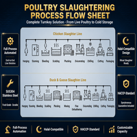 Ligne de traitement avicole automatique à petite échelle, équipement de machine d'abattage de poulets, moteur pour abattoir de poulets de chair de haute performance