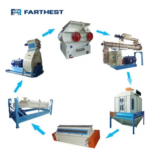 Cost-Effective Making Machine Floating Fish Feed Big Capacity Pellet Mill Production Line