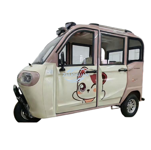 Triciclo Eléctrico de Ocio Directo de Fábrica para Exportación, Diseño de Doble Fila, Doble Uso para Pasajeros y Carga, Ideal para Recoger Niños - Product Image 1