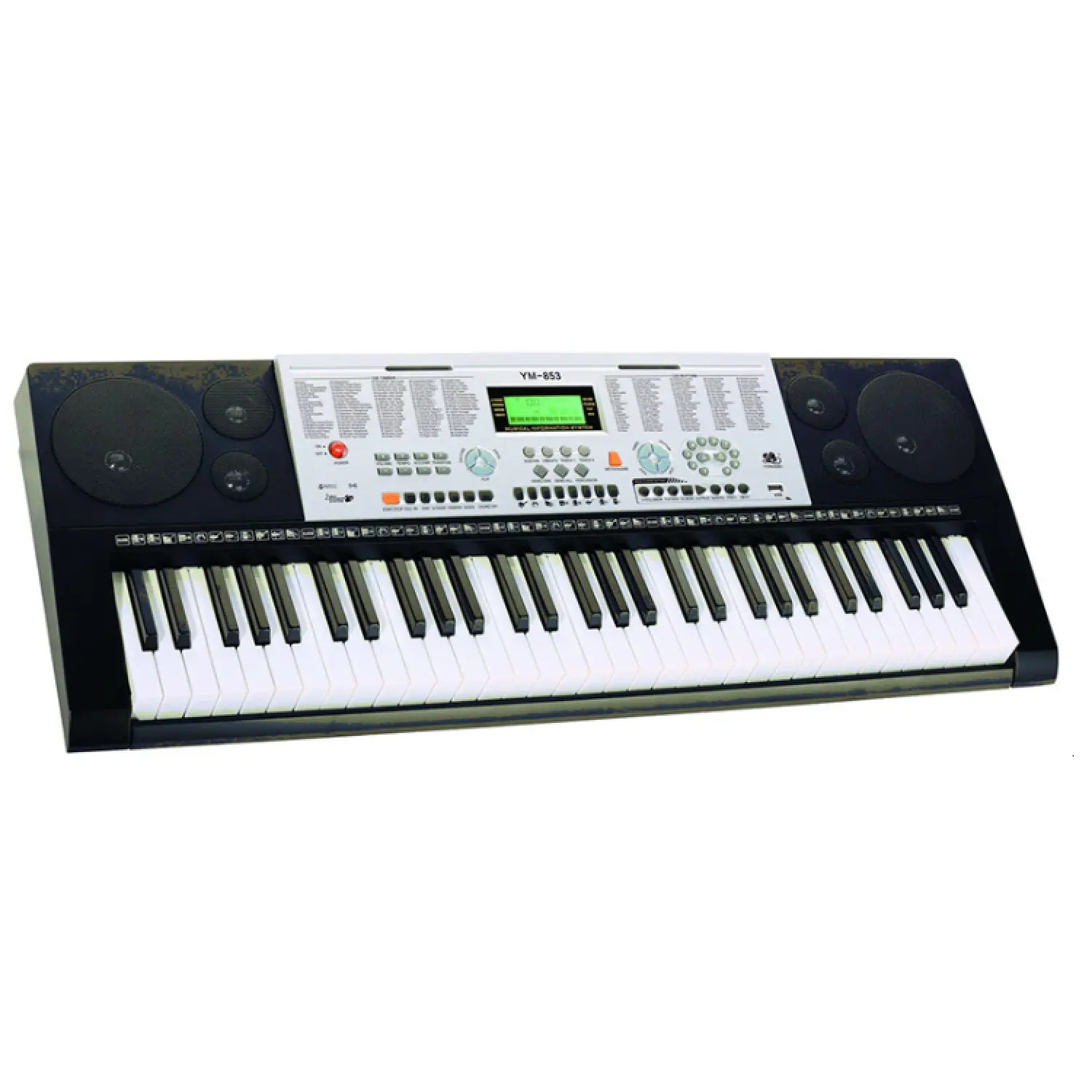 Professional musical instruments display standard piano electronic 61 keys keyboard