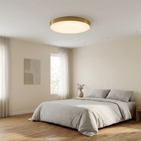 Fabricant professionnel de luminaires LED de plafond modernes 3000K-6500K PC 32W 48W AC 100-265V