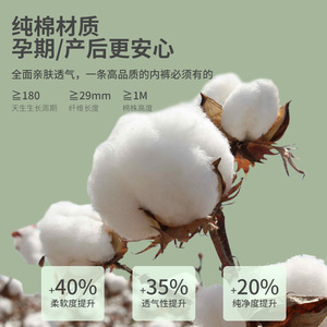 PINTU Disposable Women's Underwear Pure Cotton Menstrual Pants Individually Packaged Travel Size L XL XXL - Product Image 2