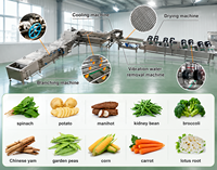 Roestvrijstalen elektrische fruit- en groentewasmachine Wortelwasmachine