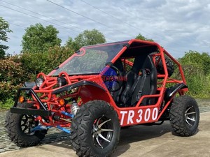 Go Kart a Gasolina, Buggy para Adultos y Niños - Product Image 6