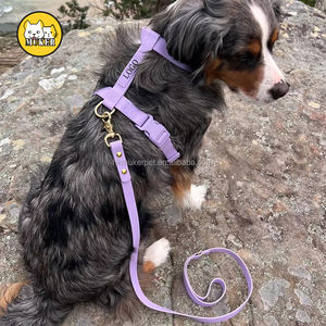 Harnais pour Chien Anti-Traction en Gros, Ensemble Collier et Laisse Ajustables, Designer Personnalisé, en Biothane Imperméable en PVC, Harnais d'Enfilage - Product Image 1