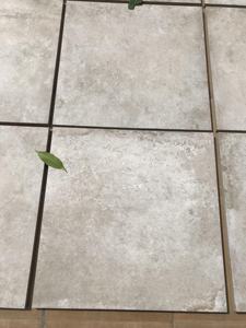 Vistaar 600x600mm Azulejos de porcelana resistente para exteriores 20mm Cotto Ash Antideslizante Calidad de exportación europea - Product Image 4