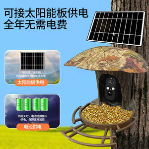 กล้องให้อาหารนกอัจฉริยะ AI พลังงานแสงอาทิตย์ ไร้สาย Wifi อินฟราเรดมองเห็นในเวลากลางคืน ระยะ 15 เมตร พร้อมระบบสื่อสารด้วยเสียงและสัญญาณเตือน - Product Image 4