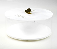 Boîte à Matzah en acrylique-Boîte à Matzah en Lucite pour Pâque-Cadeau Judaica-variété de couleurs-Bouton papillon-Fermeture magnétique