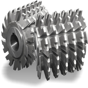 Fraises à tailler les engrenages HSS à bas <span class=keywords><strong>prix</strong></span> Fraises à tailler les engrenages HSS personnalisées M1-<span class=keywords><strong>M20</strong></span> pour machine à tailler les engrenages - Product Image 5