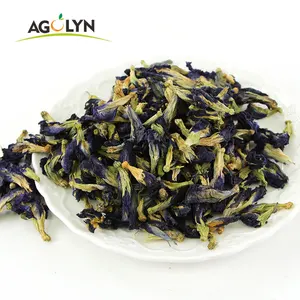 The Bloom of the Butterfly Pea Flower Tea