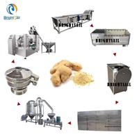 Zenzero in polvere linea di produzione di Spezie peperoncino rosso erbe curcuma cannella ultra fine polverizzatore macchine
