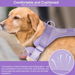 Harnais Réfléchissant Ajustable en Nylon Bleu à Motifs Floraux avec Sangle Poitrail et Boucle pour Chien et Chat, Vente en Gros Fabricant - Product Image 3