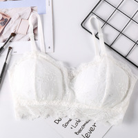 Vente chaude Dentelle Sexy Femmes Sous-Vêtements Usine Stock Prêt Femmes Plus Taille Sous-Vêtements Soutien-Gorge
