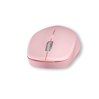 Périphérique informatique, souris sans fil noire 2.4G BTOptical USB pour ordinateur portable, souris sans fil pour PC