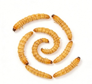 Vermi Essiccati Certificati ISO22000 HACCP, Alimento Naturale Monocomponente <span class=keywords><strong>per</strong></span> Piccoli Animali, Vendita all'Ingrosso - Product Image 5
