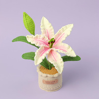2026 Hochwertige Ornamente Handgemachte Häkel arbeit Tung Öl Blume Topfpflanze Kreative Home Desktop Dekoration Ewige Blume