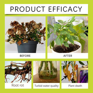 Engrais liquide organique MOONSPRY pour plantes à feuilles vertes, pelouse et fleurs, améliore la nutrition des racines - Product Image 4