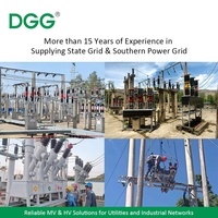 Supresor de Sobretensiones Personalizado DGG, Clase de Descarga Específica, Supresor de Rayos para Esquemas de Protección de Redes Eléctricas Industriales a Medida