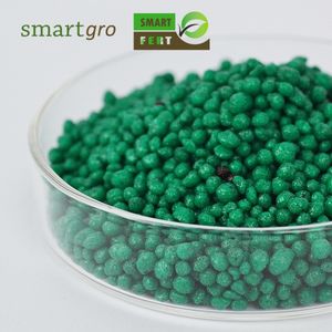 High Purity Premium Polymer Coated <b>Compound</b> <b>Fertilizer</b> Slow Release OEM Water Soluble Product Direct From Malaysia Manufacturer - Product Image 2