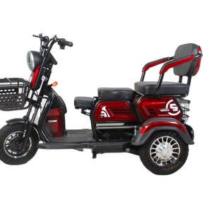 2021 <b>Electric</b> Tricycle for Cargo-48V 600W Brushless Motor Electronic Lead-Acid Battery 3-Speed >60km Range - Product Image 3