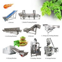 Kwaliteitsborging Moringa-bladerenpoeder productielijn Moringa-bladerenpoeder maakmachine Moringa-bladeren-droogmachine