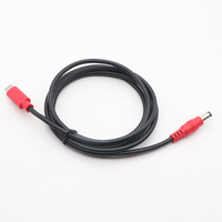 Adaptateur TYPE-C PD12V 20V personnalisé en usine avec connecteur mâle 5.5*2.1, longueur 0.8M, 1M