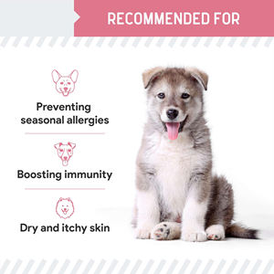 Suplemento Masticable para <span class=keywords><strong>Alergias</strong></span> en Perros OEM/ODM, Ácidos Grasos Omega-3, Apoyo para la Piel con Picazón, Salud Respiratoria, <span class=keywords><strong>Alergias</strong></span> Estacionales/Alimentarias - Product Image 4