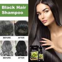 Shampoo colorant capillaire noir instantané à l'huile d'argan biologique OEM, liquide, 420 ml, permanent
