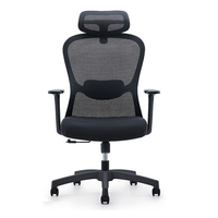 Chaise de bureau ergonomique avec tissu en maille hautement élastique, appui-tête et soutien lombaire réglables, idéale pour les études et les bureaux