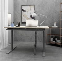 Bureau de travail moderne en fer pour e-sport, ergonomique, réglable en hauteur électriquement, table assis-debout, usage commercial, 1 à 5 ans
