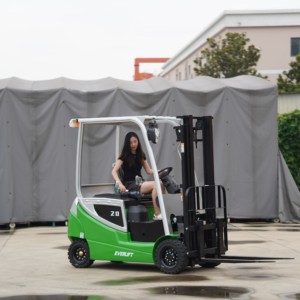 2000KG 2TON 4.5M 5M 6M מלגזה ניידת סין מלגזה חשמלית - Product Image 5