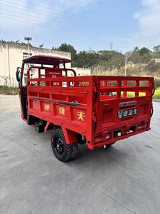 Tricycle KungFu <span class=keywords><strong>Tiger</strong></span>-Rui / Vente Flash / Tricycle à Trois Roues / <span class=keywords><strong>200cc</strong></span> / Tricycle à 3 Roues Droites / <span class=keywords><strong>Moto</strong></span> Tricycle / Alimentation à Essence / NOUVEAU 2026 - Product Image 6