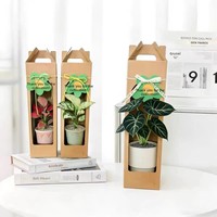Boîte cadeau personnalisée en papier kraft avec fenêtre et poignée, emballage en carton pour pot de fleurs, idéal pour la vente au détail de plantes succulentes en pépinière