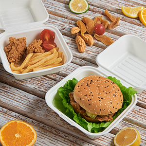 Wadah makanan Clamshell 6x6 sekali pakai dapat dikompos untuk <span class=keywords><strong>Burger</strong></span> <span class=keywords><strong>Fries</strong></span> Salad kue sandwich terbuat dari Bagasse - Product Image 2