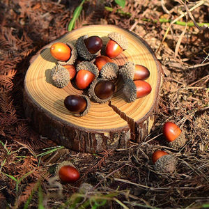 50 Uds. De bellotas artificiales realistas naturales decorativas para boda, Festival, graduación en casa, bellotas realistas hechas a mano, artesanía - Product Image 6