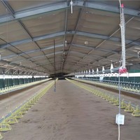 Structure de construction en acier préfabriqué pour ferme avicole, poulailler préfabriqué pour poulets de chair