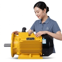 Moteur asynchrone triphasé IE5 YE5-160M-4 11 kW à haut rendement CE EAC, montage sur pied pour équipement industriel