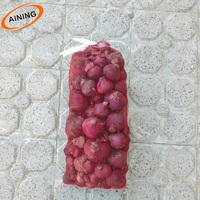 Pp Verpakking Op Maat Gemaakte Aardappel Ui Pakketten Netto Zak Pe Buisvormige Mono Mesh Tas Voor Dadelpalm Hoes Dadelpalm Fruitzak