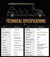 LVTONG Voiture de voyage électrique classique vintage 72V Voiture de bus touristique avec homologation CE