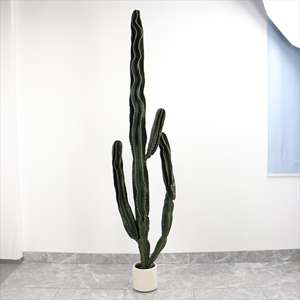 Plante artificielle <span class=keywords><strong>Cactus</strong></span> personnalisé, <span class=keywords><strong>Cactus</strong></span> <span class=keywords><strong>pas</strong></span> <span class=keywords><strong>cher</strong></span>, Fleurs et plantes artificielles réalistes, Petit bonsaï floral de Chine, <span class=keywords><strong>Cactus</strong></span> artificiel - Product Image 6