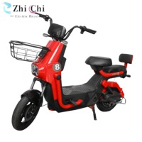 Vélo Électrique Urbain Haute Vitesse 350W 48V à Faible Entretien, Cadre Haute Performance, Économique, Alimenté par Énergie Solaire, Vélo Électrique au Plomb