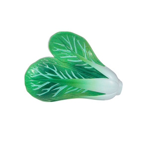 ODM/OEM Pinzas para el pelo de plástico con diseño de vegetales, estilo primaveral y campestre fresco, pinza de agarre, pinza para flequillo, estilo femenino y lindo, hechas a mano - Product Image 5