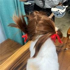 Grazioso cappotto da cane da pecora XS-XL accessori per cucciolo imbottiti in poliestere modello solido estivo e invernale - Product Image 1