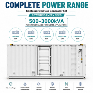 Grupo Electrógeno de Gas en Contenedor de 200kW, 300kW, 1000kW, Bajas Emisiones de Gases de Escape, Diseño Ecológico para Proyectos de Protección Ambiental Urbana - Product Image 2