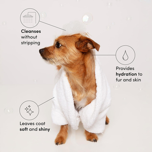 Champú OEM para Perros y Gatos, Limpieza Suave, Hidratación, Brillo y Acondicionador, Alivio para la Piel con Picazón en Cachorros, Champú para Baño de Perros - Product Image 2